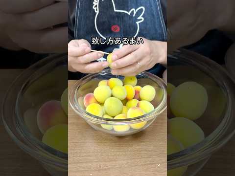 [ 梅と白ワインのジャム ]我が家の閣下(妻)のご要望で梅のモクテルをお作りする動画