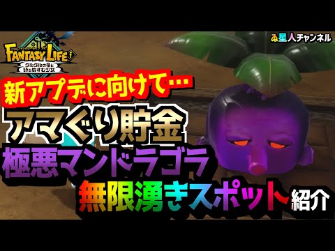 【アマぐり】新アプデに向けて準備せよ！極悪マンドラゴラ無限湧きスポット【ファンタジーライフｉ グルグルの竜と時をぬすむ少女】