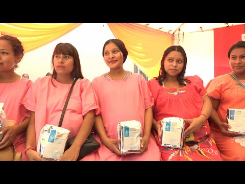PMA dona a Nicaragua más de 22 toneladas de cereales para embarazadas