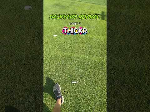 How to get a Thickr Lawn. 👀 #lawncare #sponsored
