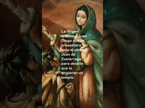 Nuestra Señora de Guadalupe - México 1531