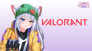abis ngopi, sepertinya begadang | valorant