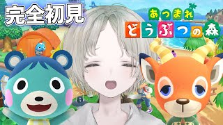 【あつ森】初見歓迎！自然な島を目指して深夜にのんびり雑談しながらあつ森！【可夢ヰみふう/あつまれ どうぶつの森】