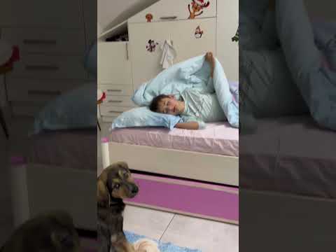 Gariban Kardeşim Köpeğimiz Daisy yüzünden uyandırılıyor 😔💞