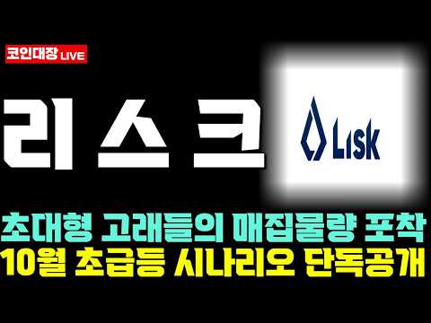 [리스크 코인전망] 초대형 고래들의 매집물량 포착, 10월 초급등 <strong>시나리오</strong> 단독공개 !