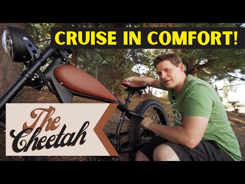 The Most Comfortable Electric Bike