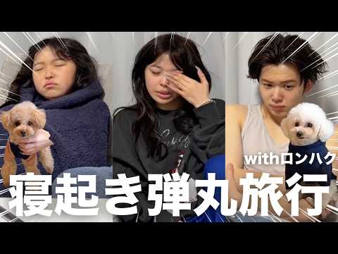 寝起きで弾丸家族旅行withロンハク🐶