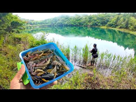 今も現役！懐かしのごちゃごちゃワームで釣りしてみた結果がしょぼすぎた笑