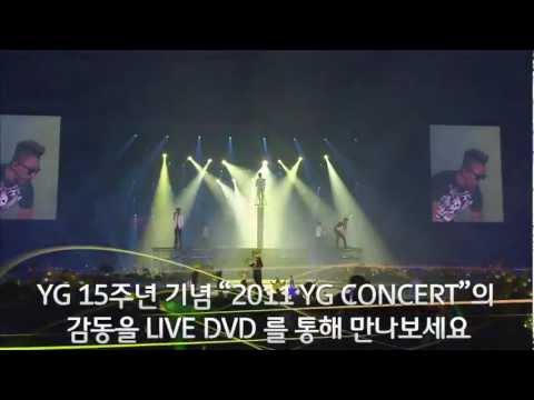 15th Anniv. 2011 <strong>YG</strong> FAMILY CONCERT <strong>LIVE</strong> DVD_Spot