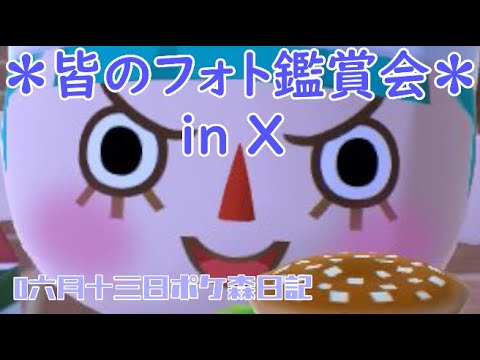 【ポケ森日記】7年06月13日📷️フォト鑑賞会🎈