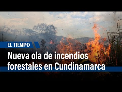 Alerta en Cundinamarca en varios municipios por incendios forestares  | El Tiempo