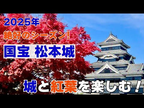 #112 【國寶松本城と紅葉】2025年ベストシーズンを迎える長野の紅葉
