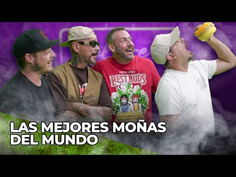 PR QUEDA FUERA DEL TOP 10 LUGARES QUE PRODUCEN LA MEJOR YERBA