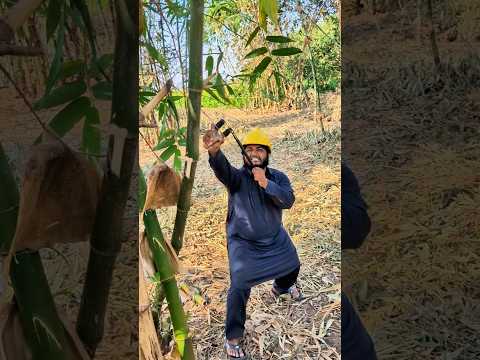 garib Bache NY birds ki Madaad ki #shortsviral #ytshorts #viral