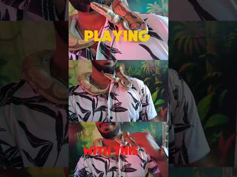 snake 🐍 in my neck 😨, every second in panic 😱 attack #snake #snakevideo #panicattack  #snakes