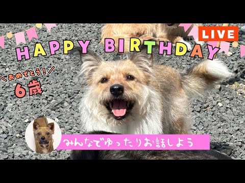 ひだり6才の誕生日の生放送だよ！