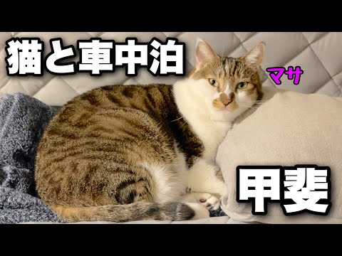 夏の終わりに猫と車中泊旅!武田信玄の名所を巡る旅の二日目【長野県佐久市~山梨県甲斐市】キャンピングカーのようにDIYしたハイエースで猫のマサと車中泊!