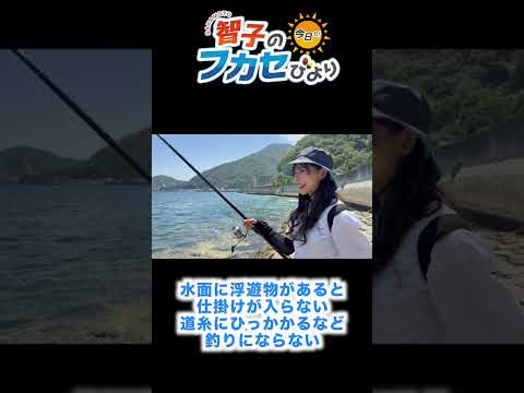 【リベンジ成功！】『底攻め！ホワイト』でチヌ５匹＆良型キャッチ！