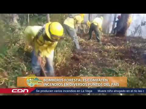 Bomberos forestales combaten incendios en diversos puntos del país
