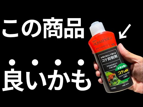 コケ抑制剤の効果と、厄介な黒いコケを除去する方法を解説します