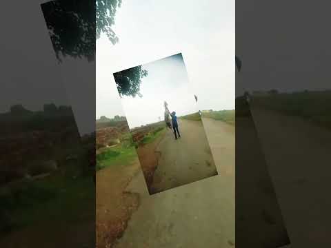 Yeh Do Ghode Ek Dusre Ko Aise Chidha Rahe Hain 🤣"#horse #shorts #ytshorts #viralvideo