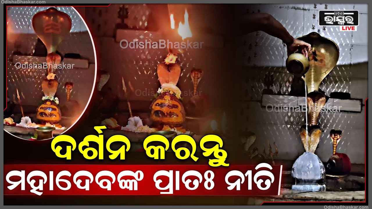 ସକାଳୁ ଦର୍ଶନ କରନ୍ତୁ ମହାଦେବଙ୍କ ପ୍ରାତଃ ନୀତି, ଦିନଟି ଆପଣଙ୍କର ମଙ୍ଗଳମୟ ହେବ Har Har Mahadev