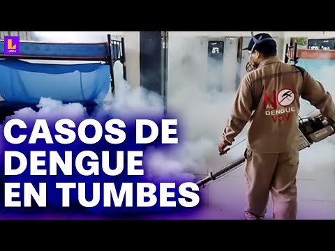 Incrementan casos de dengue en Tumbes: Se necesita personal médico para la atención