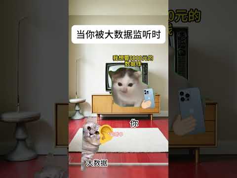 猫の動画サムネイル - 当你被大数据监听时#有趣 #猫meme #猫meme剧场 #内容过于真实  #故事 #貓 #猫猫meme小剧场 #喵不可言