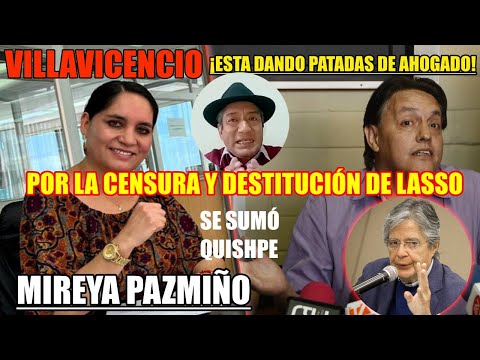 Quishpe se suma a votar por la destitución de Lasso, Pazmiño son patadas de abogados de Villa