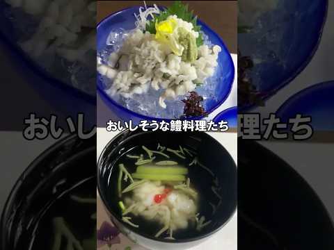 【京都の鱧(はも)料理】道で出会ったおじいちゃんが飲みに連れていってくれた！ #まごとも #shorts