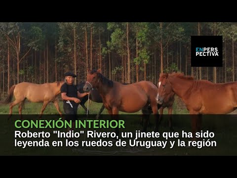 Roberto Indio Rivero, un jinete que ha sido leyenda en los ruedos de Uruguay y la región