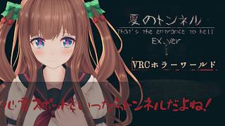 【ホラー】心霊スポットいったら怖い体験をした！！！│『夏のトンネル』【VRChat / VRC】