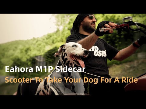 Eahora M1P Sidecar - Scooter To Take Your Dog For A Ride