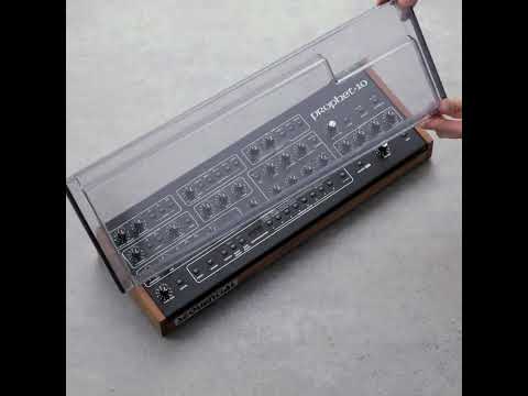 The Prophet 10 Decksaver cover