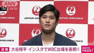 MLB on X: Shohei Ohtani has announced his intention to play for Team Japan  in the #WorldBaseballClassic!  / X