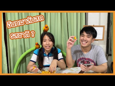 กินอินทผาลัมสดครั้งแรกในชีวิตเ กินอินทผาลัมสดครั้งแรกในชีวิตเ