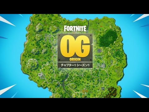 今日は無双する予定【Fortnite/フォートナイト】