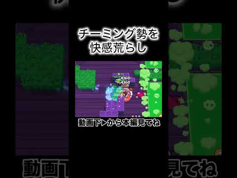 チーミング勢荒らしてみたWWW【ブロスタ】