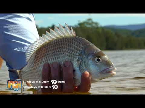 IFISH with BCF Series 19 Episode 5 PROMO -  ULLADULLA ESTUARY FISHING