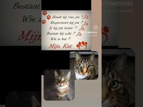 Felix🫶Codi #voorjou #dc #felix #codi