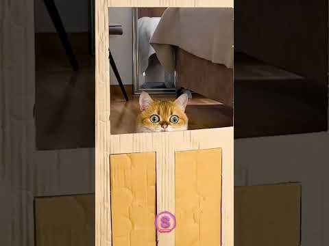 Hampir Sempurna... Hampir! 😂 #lucuPendek