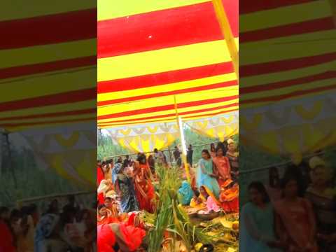 जय हो छठी मईया #video #song #tarndeng #viralvideo #chhathpuja #song #video