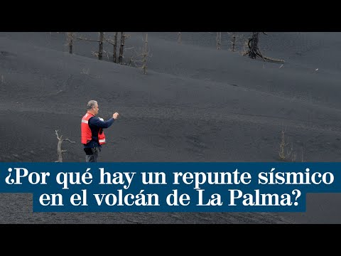 Repunte sísmico del volcán Cumbre Vieja de La Palma 6 meses después de su erupción