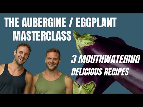 Aubergine Recipes / eggplant recipes