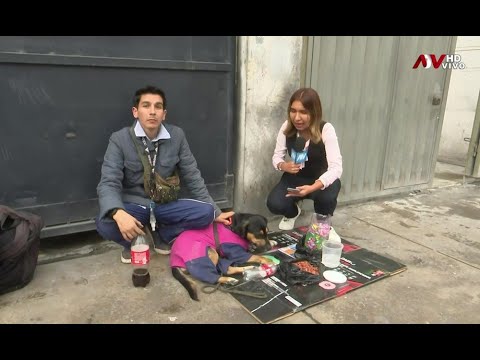 San Luis: Joven no puede pagar alquiler y ahora vive en la calle con su perrita