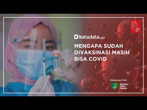 Mengapa Sudah Vaksin Masih Bisa Positif Covid-19 ? | Katadata Indonesia