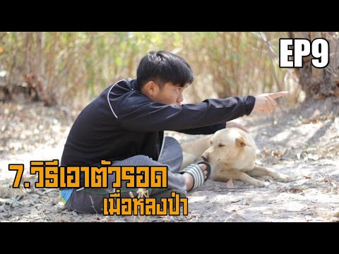 7.วิธีเอาตัวรอดเมื่อหลงป่า-by- 7.วิธีเอาตัวรอดเมื่อหลงป่า-by-