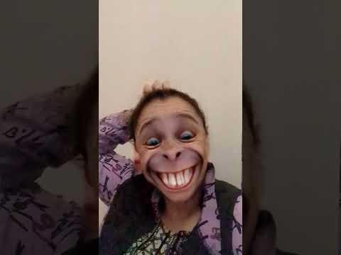 نكت مغربية موت الضحك مع القرد سعدون