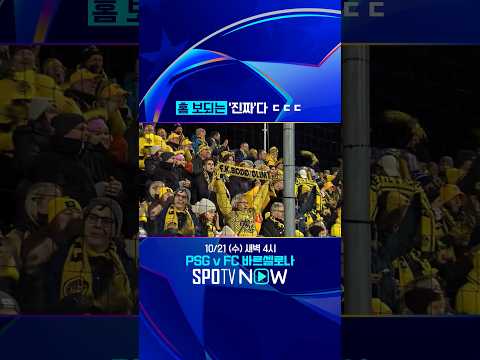 도르트문트도 당했는데요 #SPOTVUCL