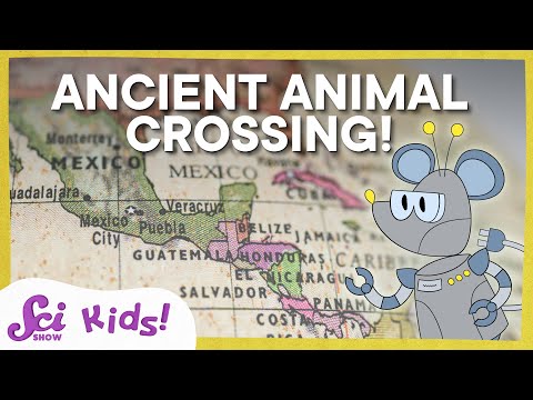 The Ancient Animal Crossing | SciShow Kids